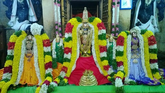 Vanamamalai Sri Deivanayaga Perumal Temple Margazhi Masa Ennaikappu Utsavam4