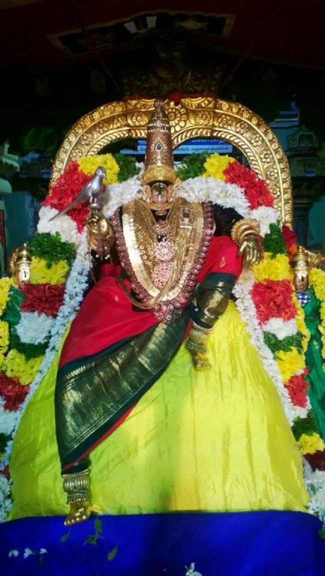 Vanamamalai Sri Deivanayaga Perumal Temple Thiruadhyayana Utsavam Commences16