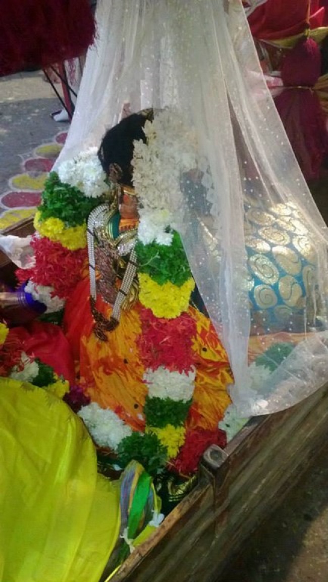 Vanamamalai Sri Deivanayaga Perumal Temple Thiruadhyayana Utsavam Commences18