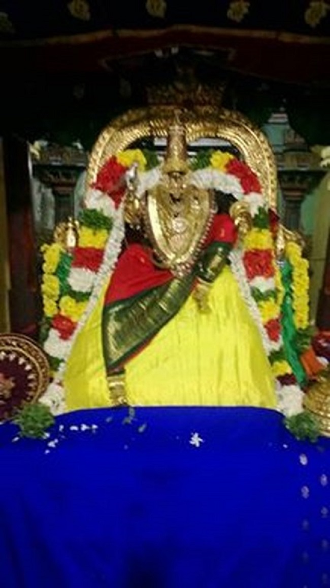 Vanamamalai Sri Deivanayaga Perumal Temple Thiruadhyayana Utsavam Commences21