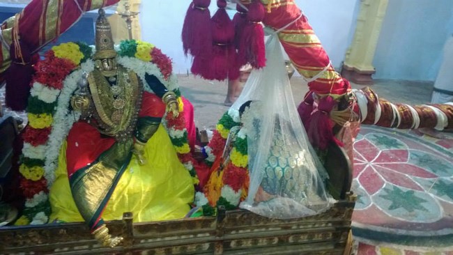 Vanamamalai Sri Deivanayaga Perumal Temple Thiruadhyayana Utsavam Commences22