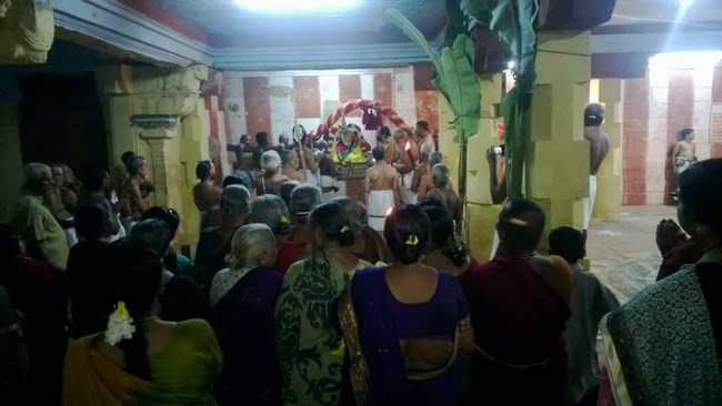 Vanamamalai Sri Deivanayaga Perumal Temple Thiruadhyayana Utsavam Commences5