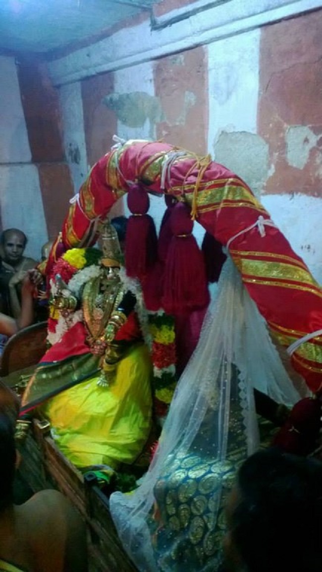 Vanamamalai Sri Deivanayaga Perumal Temple Thiruadhyayana Utsavam Commences8