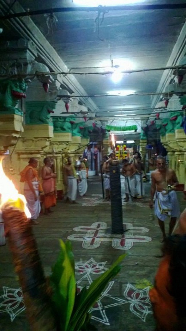 Vanamamalai Sri Deivanayaga Perumal Temple Thirukarthikai Utsavam11