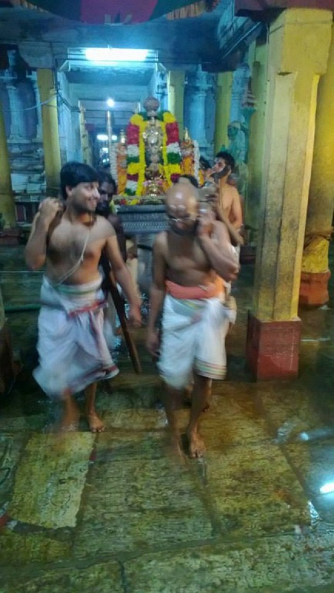 Vanamamalai Sri Deivanayaga Perumal Temple Thirukarthikai Utsavam13