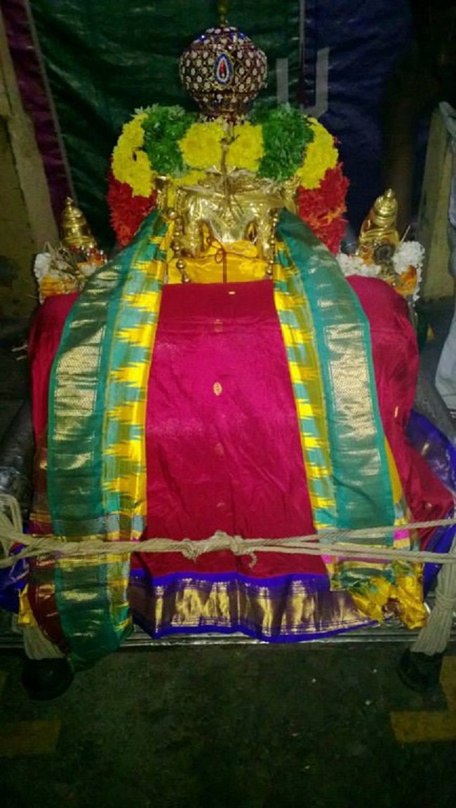 Vanamamalai Sri Deivanayaga Perumal Temple Thirukarthikai Utsavam16