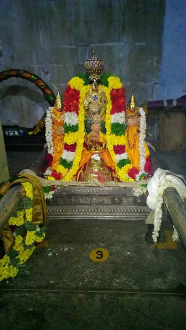 Vanamamalai Sri Deivanayaga Perumal Temple Thirukarthikai Utsavam19