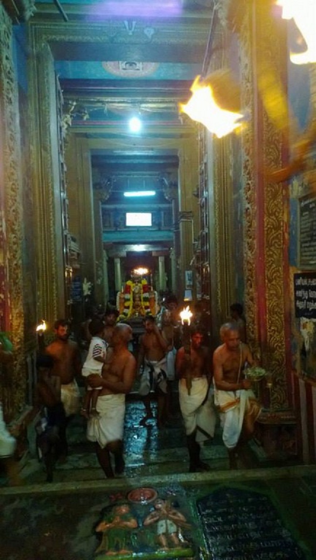 Vanamamalai Sri Deivanayaga Perumal Temple Thirukarthikai Utsavam5
