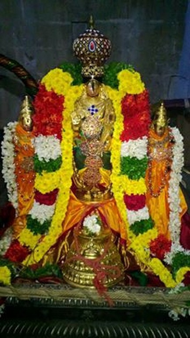 Vanamamalai Sri Deivanayaga Perumal Temple Thirukarthikai Utsavam9