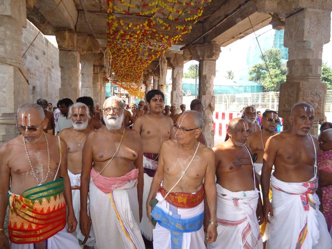 10th jan 15 - raapathu theerthavaari (35)