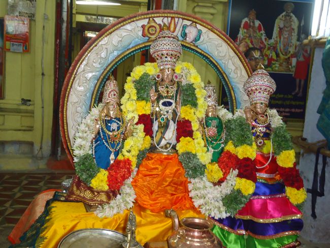 15th jan 15 - thirukurallappan sannathi pongal festival (15)