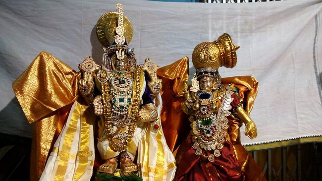 Alwarpet Sri Kothandaramar Temple Sri Andal Thirukalyanam1