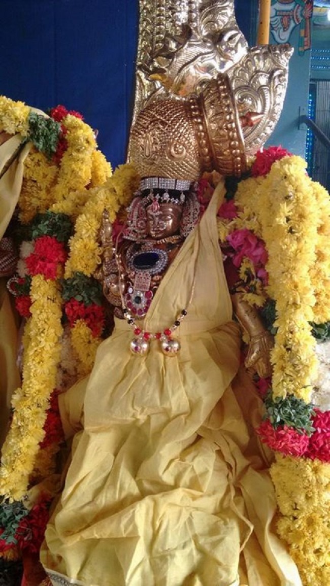 Alwarpet Sri Kothandaramar Temple Sri Andal Thirukalyanam14