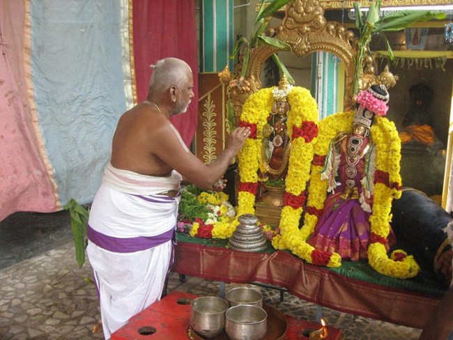 Arumbakkam Sri Satyavaradaraja Perumal Temple Sri Andal Thirukalyana Utsavam16
