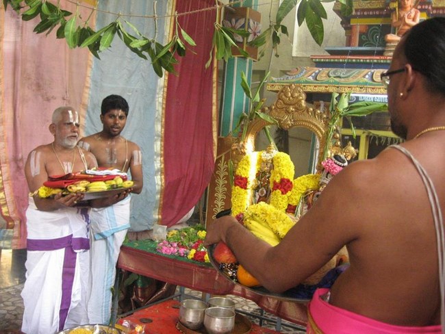 Arumbakkam Sri Satyavaradaraja Perumal Temple Sri Andal Thirukalyana Utsavam8