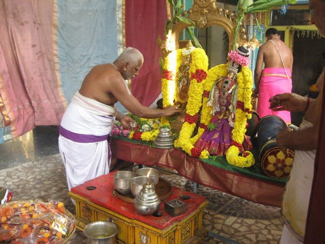 Arumbakkam Sri Satyavaradaraja Perumal Temple Sri Andal Thirukalyana Utsavam9