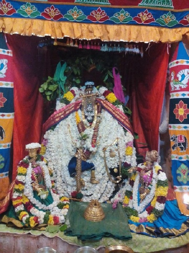 Azhwar Thirunagari Sri Adhinathar Kovil Thiruadhyayana Utsavam12