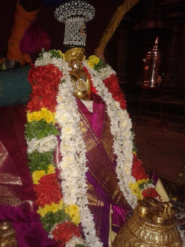 Azhwar Thirunagari Sri Adhinathar Kovil Thiruadhyayana Utsavam13