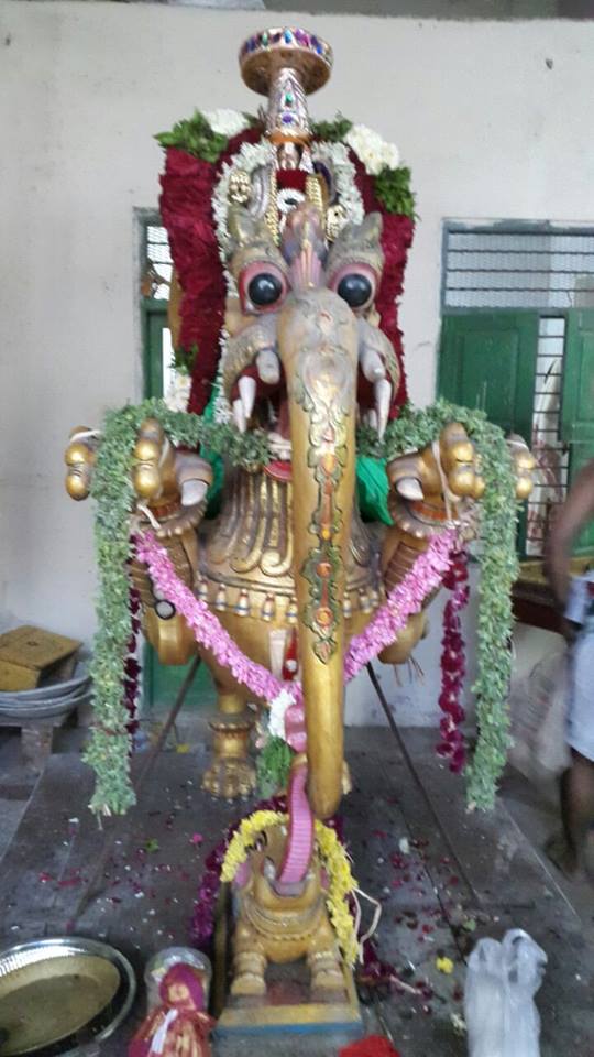 Chennai Broadway Acharappan street Sri Adhikesava Perumal  Temple Rathasapthami Purappadu 2015-3