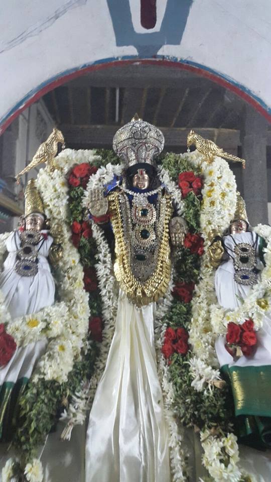 Chennai Broadway Acharappan street Sri Adhikesava Perumal  Temple Rathasapthami Purappadu 2015-4
