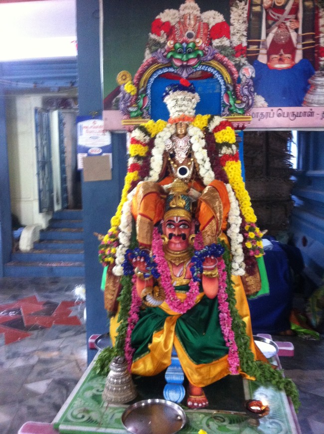 Damal Sri Damodara Perumal Temple Vaikunda Ekadasi purappadu 2014-01