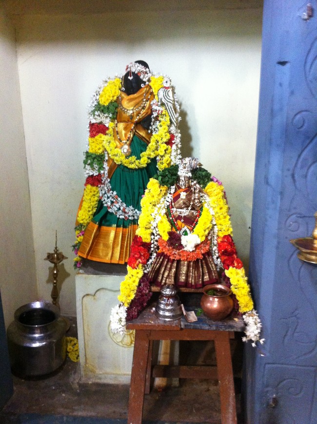 Damal Sri Damodara Perumal Temple Vaikunda Ekadasi purappadu 2014-02