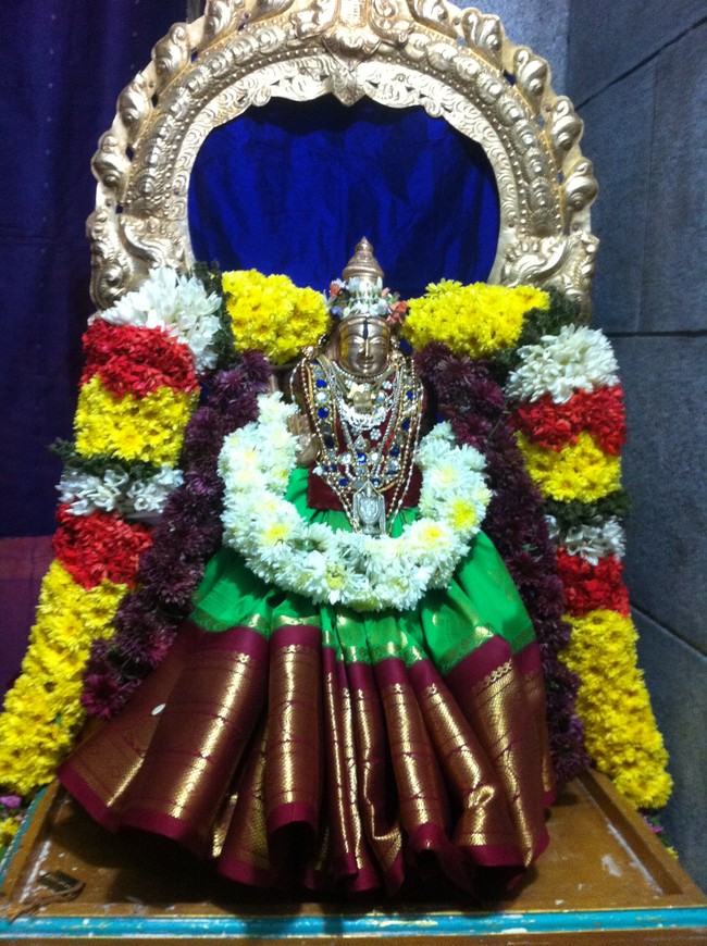 Damal Sri Damodara Perumal Temple Vaikunda Ekadasi purappadu 2014-08