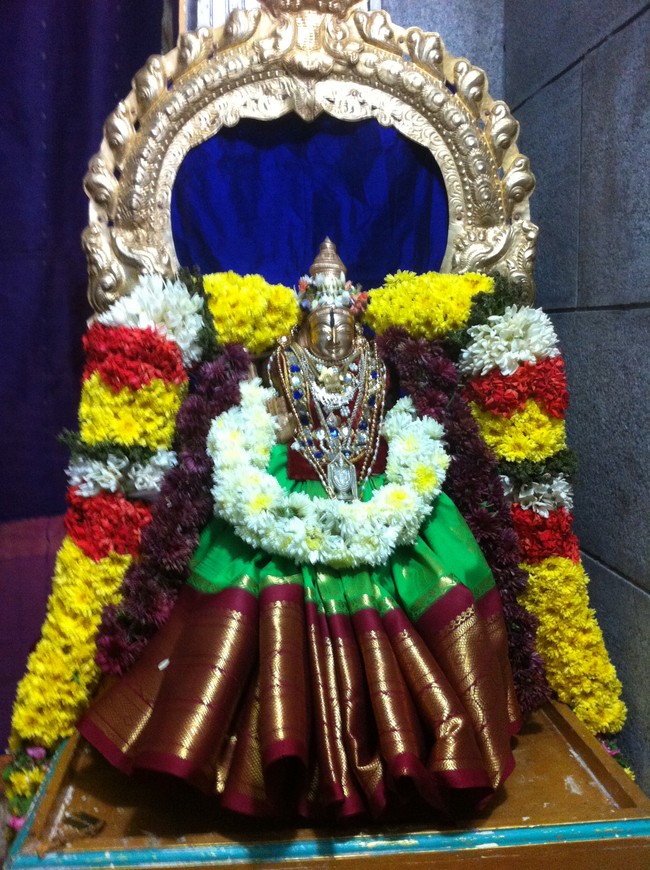 Damal Sri Damodara Perumal Temple Vaikunda Ekadasi purappadu 2014-09