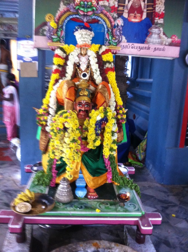 Damal Sri Damodara Perumal Temple Vaikunda Ekadasi purappadu 2014-11