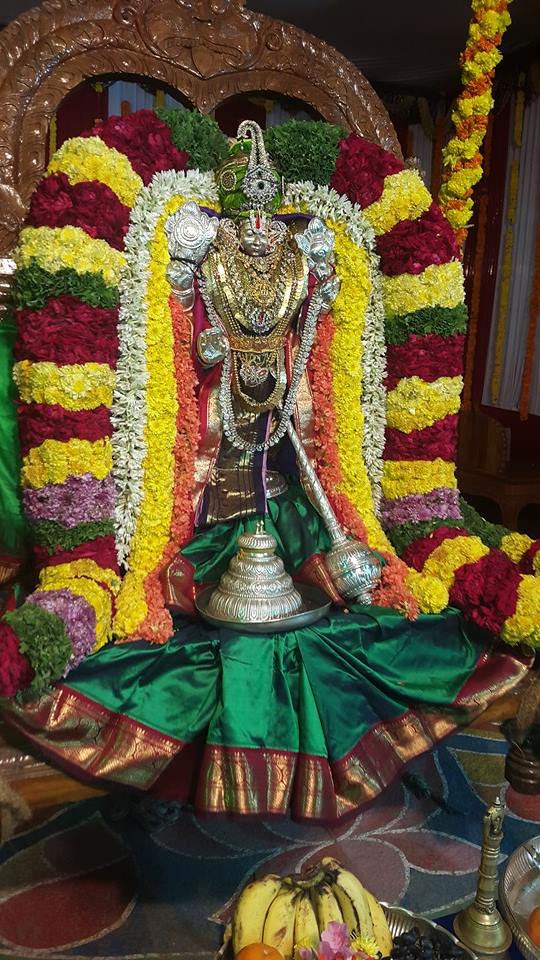 Devuni Kadapa Sri Lakshmi Venkateswaa Perumal Temple Ratha Sapthami 2015-07