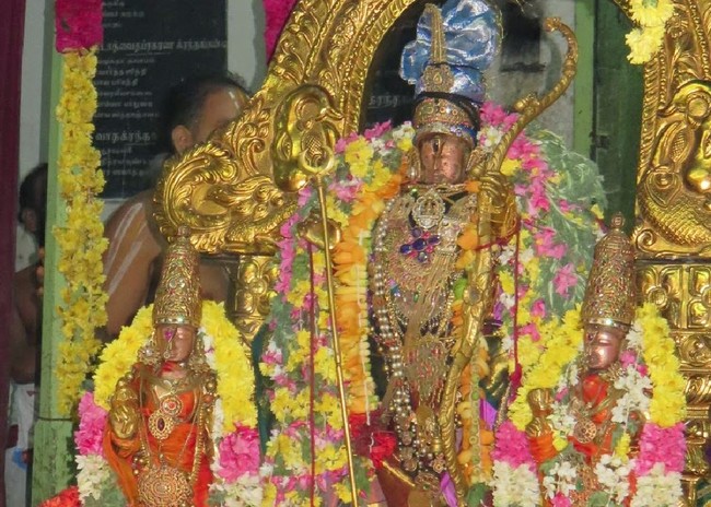 KAnchi Sri Devaperumal Anushtana Kula Utsavam pUrappadu to Thoopul and Asthanam 2015-28