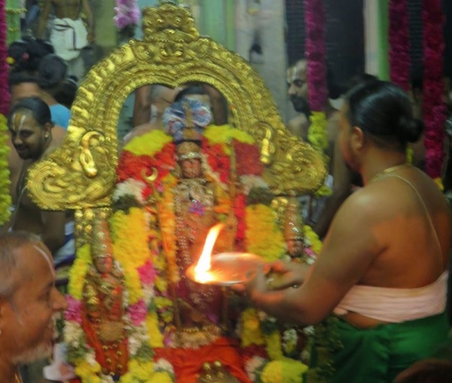 KAnchi Sri Devaperumal Anushtana Kula Utsavam pUrappadu to Thoopul and Asthanam 2015-35