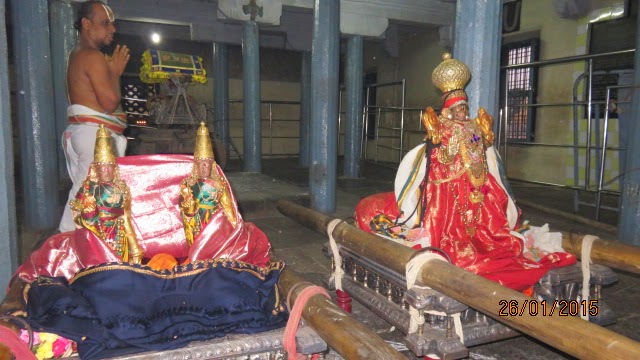 Kanchi Devaperumal Rathasapthami  Purappadu Surya Prabhai 2015-01
