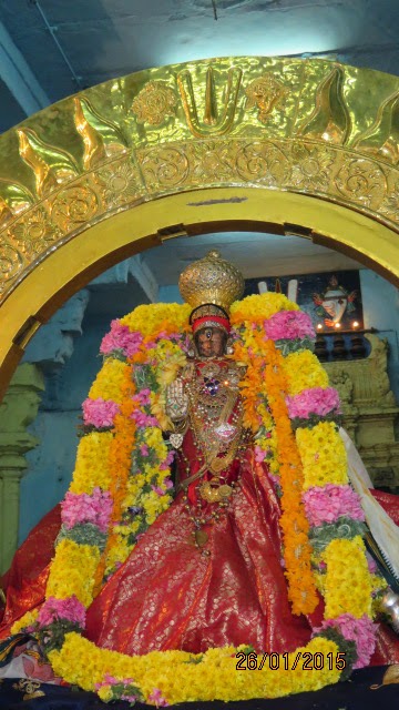 Kanchi Devaperumal Rathasapthami  Purappadu Surya Prabhai 2015-11