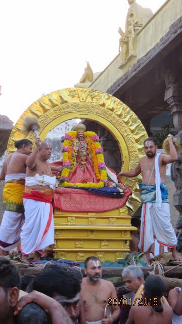 Kanchi Devaperumal Rathasapthami  Purappadu Surya Prabhai 2015-14