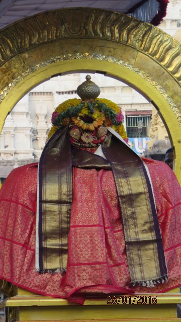 Kanchi Devaperumal Rathasapthami  Purappadu Surya Prabhai 2015-19