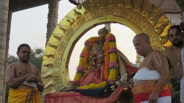 Kanchi Devaperumal Rathasapthami  Purappadu Surya Prabhai 2015-22