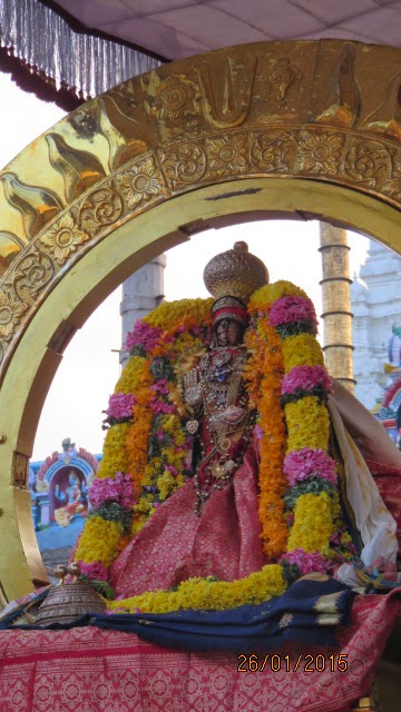 Kanchi Devaperumal Rathasapthami  Purappadu Surya Prabhai 2015-23