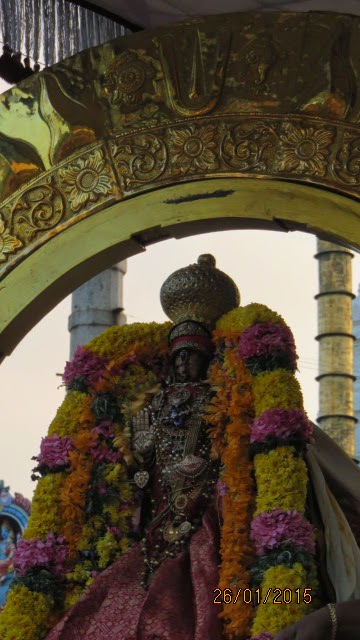 Kanchi Devaperumal Rathasapthami  Purappadu Surya Prabhai 2015-24
