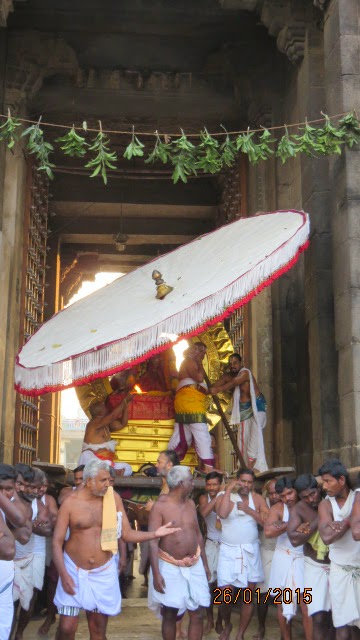 Kanchi Devaperumal Rathasapthami  Purappadu Surya Prabhai 2015-31