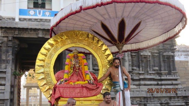 Kanchi Devaperumal Rathasapthami  Purappadu Surya Prabhai 2015-34