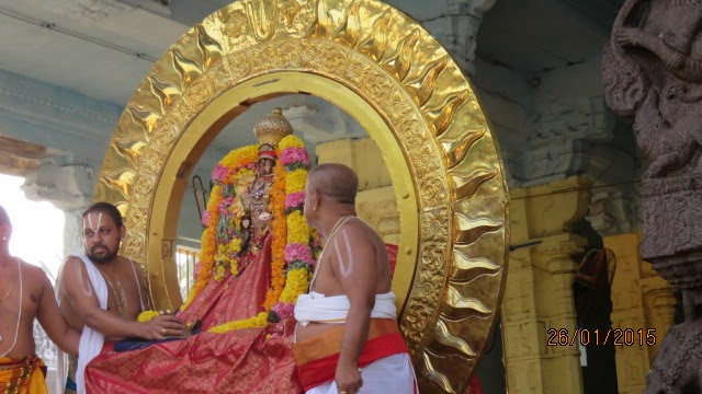 Kanchi Devaperumal Rathasapthami  Purappadu Surya Prabhai 2015-44