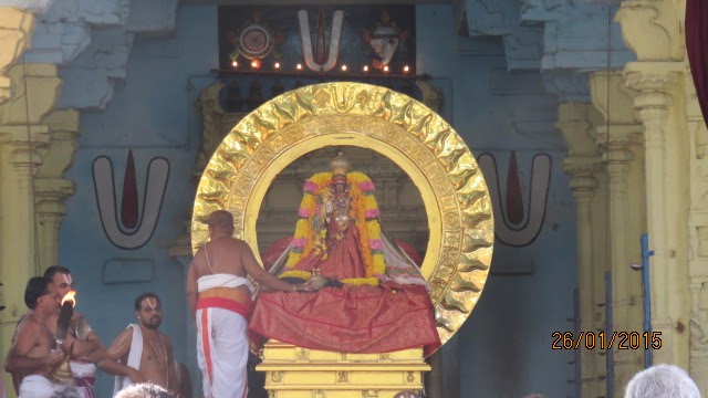 Kanchi Devaperumal Rathasapthami  Purappadu Surya Prabhai 2015-47