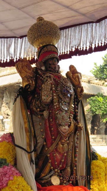 Kanchi Devaperumal Rathasapthami  Purappadu Surya Prabhai 2015-55