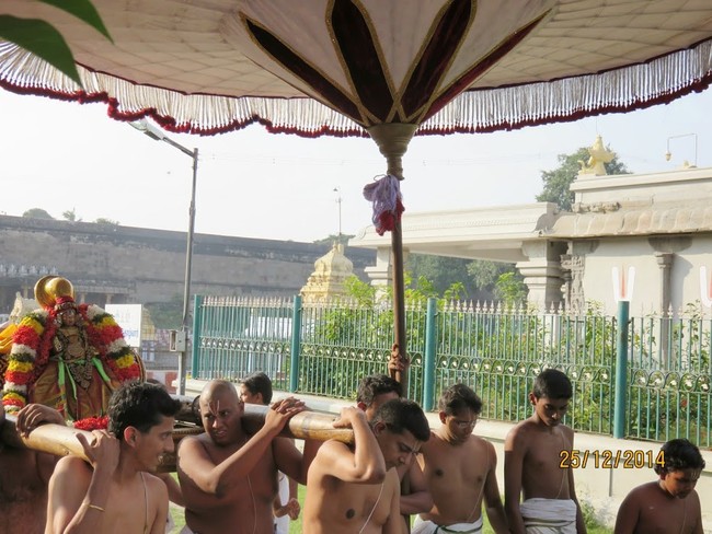 Kanchi Devaperumal Sannadhi margazhi Sravana Swami Desikan Purappadu  2014-19