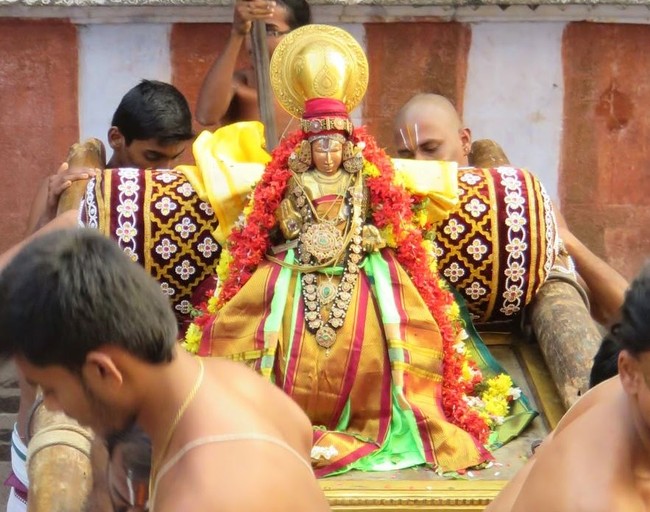 Kanchi Devaperumal Sannadhi margazhi Sravana Swami Desikan Purappadu  2014-34