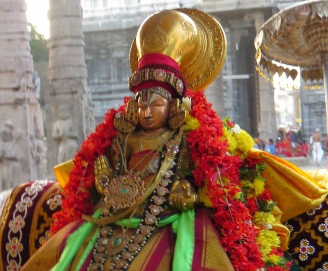 Kanchi Devaperumal Sannadhi margazhi Sravana Swami Desikan Purappadu  2014-43