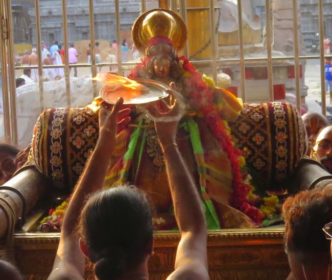 Kanchi Devaperumal Sannadhi margazhi Sravana Swami Desikan Purappadu  2014-44