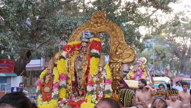 Kanchi Devarajaswami Temple  Anushtana kula utsavam Purappadu 2015-11