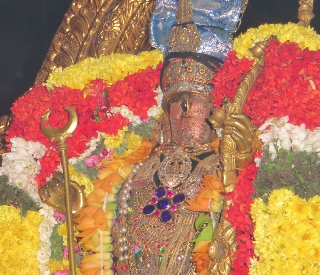 Kanchi Devarajaswami Temple  Anushtana kula utsavam Purappadu 2015-14